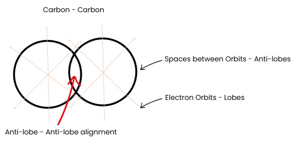 Two carbon atoms aligning anti-lobe to anti-lobe in the key-lock bonding mechanism