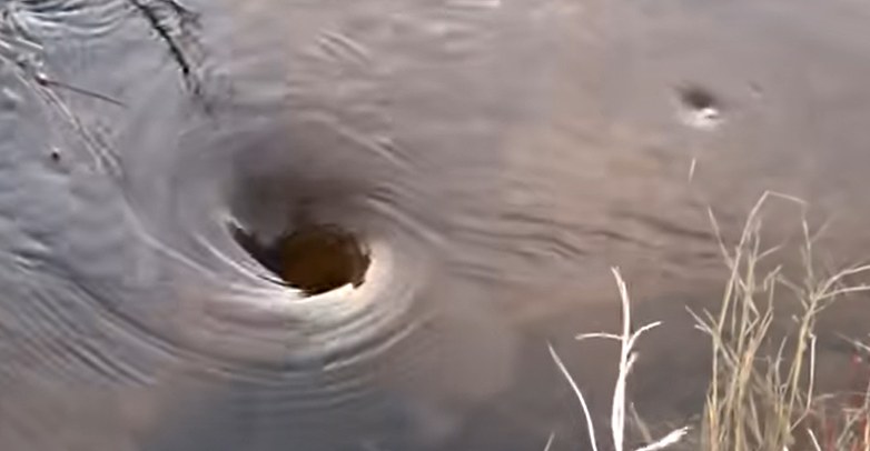 Two whirlpools forming on the surface of a river, one large and one small.