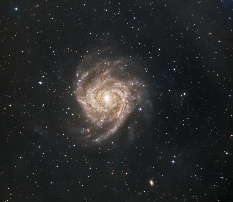 A face-on spiral galaxy, its arms winding out from a bright concentrated centre against a field of stars.